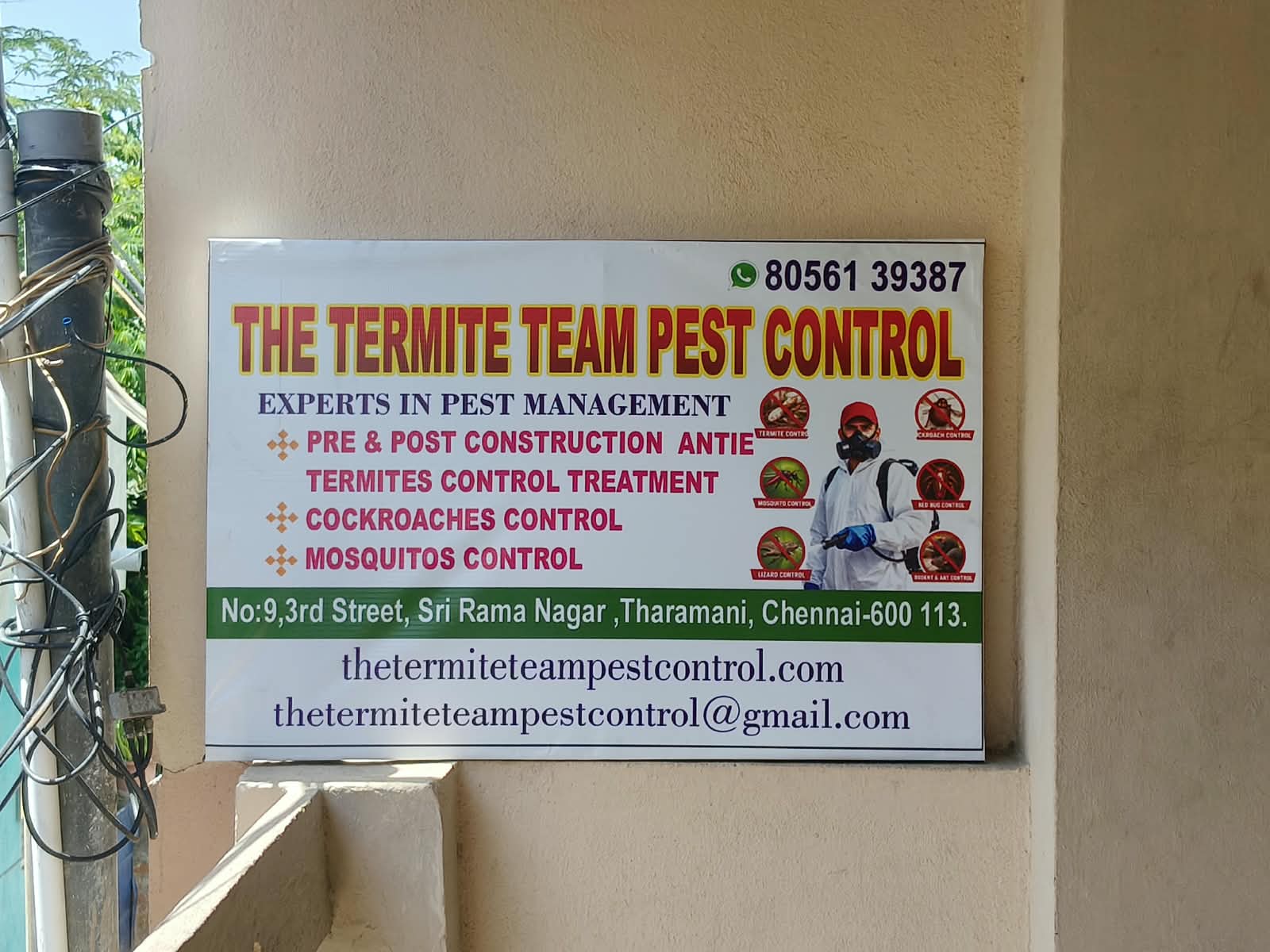 The Termite Team Pest Control - Office